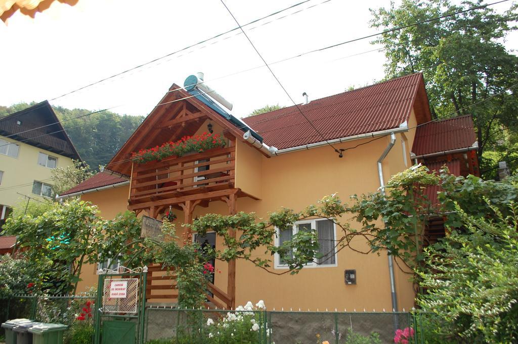 Casa Kiss Villa Sovata Rom bilde